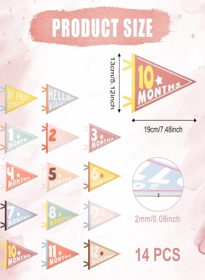 PEUTIER 14pcs Baby Milestone Flags, Felt Monthly Milestone Pennant Flag Colorful Baby Milestone Signs for Newborn Baby Shower 1st Birthday Party Decorations (Pattern 1) - Image 2